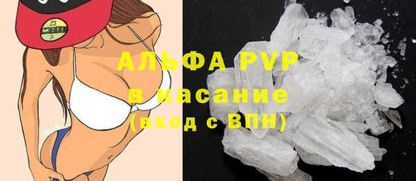 сатива Белоозёрский