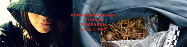 эйфоретик Беломорск