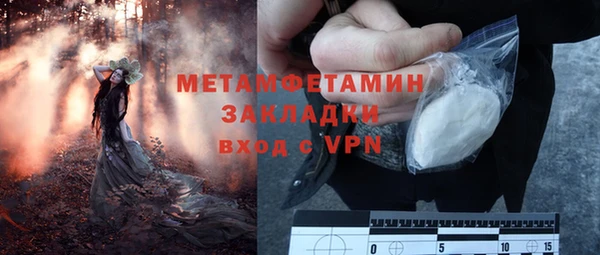 индика Слюдянка