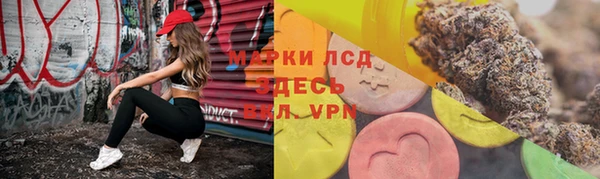 индика Слюдянка