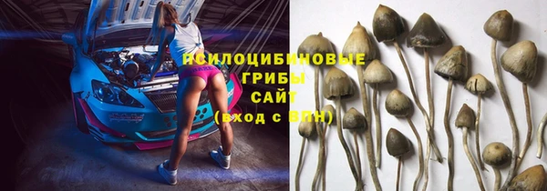 МДПВ Белокуриха
