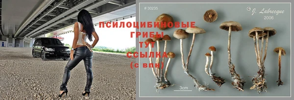 марки lsd Богородицк