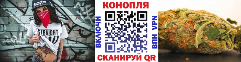 Конопля гибрид  где купить наркотик  Кушва 